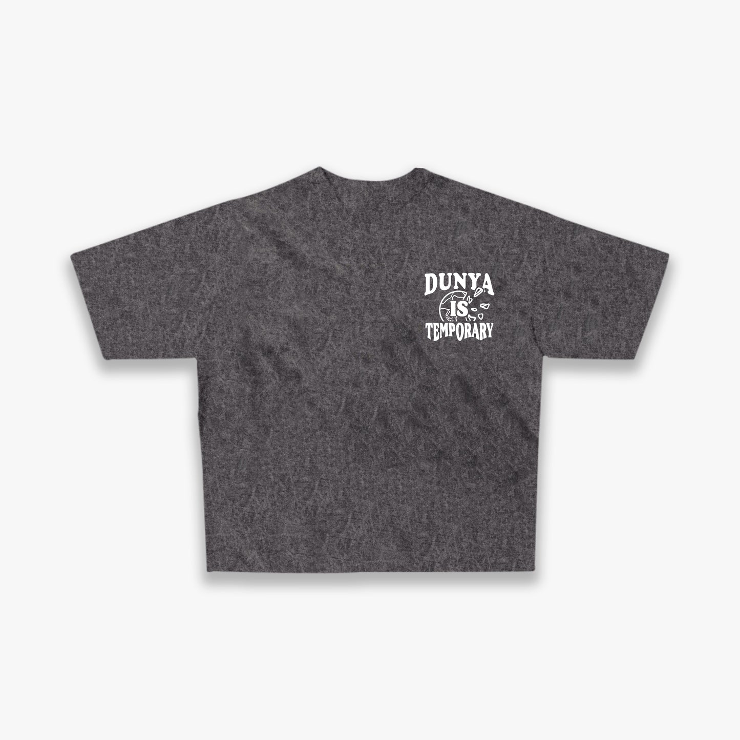 Dunya is temporary Tee - Vintage